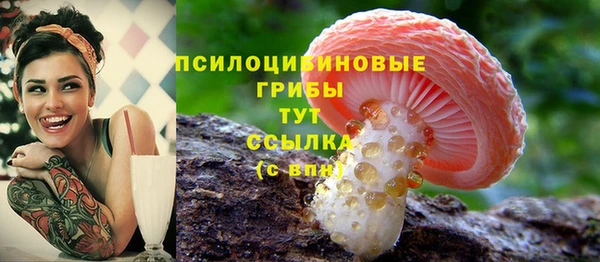 гидропоника Армянск