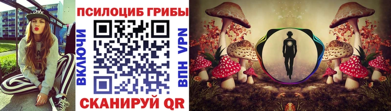 Галлюциногенные грибы Cubensis  Махачкала 