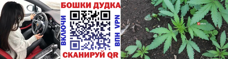 Шишки марихуана Bruce Banner  Махачкала 